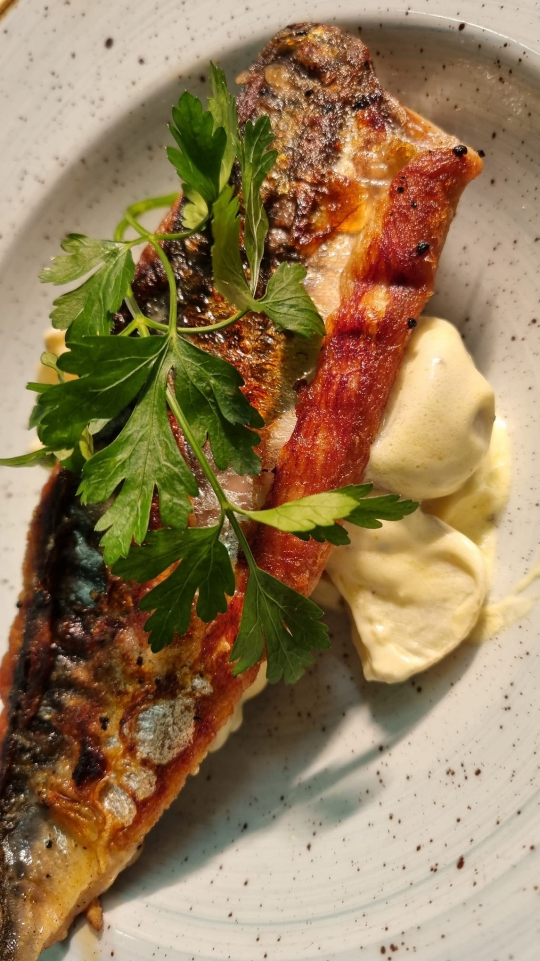 Mackerel on warm potato salad